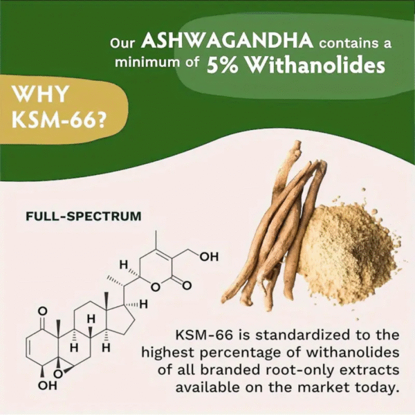 KSM-66® Ashwagandha – 1200mg Stress & Mood Support – 120 Capsules - Image 7